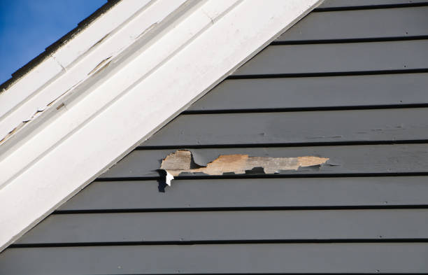 Best Custom Trim and Detailing for Siding  in King, NC
